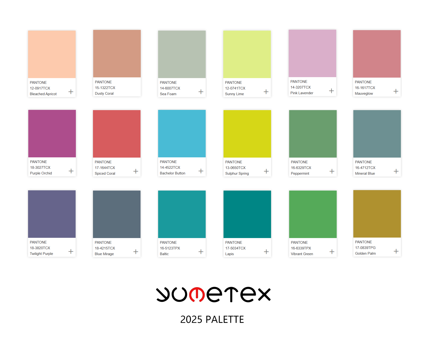 2025palette.jpg